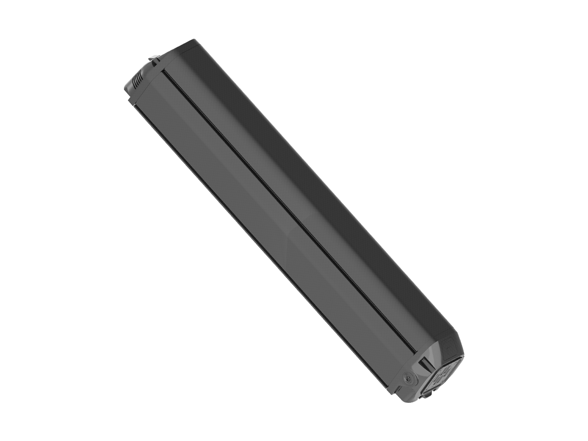 BT F440.D748.C